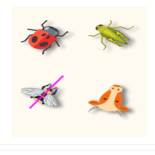 دروس وتمارين الرياضيات السنة الثالثة ابتدائي - التماثل المحوري