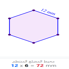 دروس وتمارين الرياضيات السنة الثالثة ابتدائي - حساب محيط مضلع منتظم 