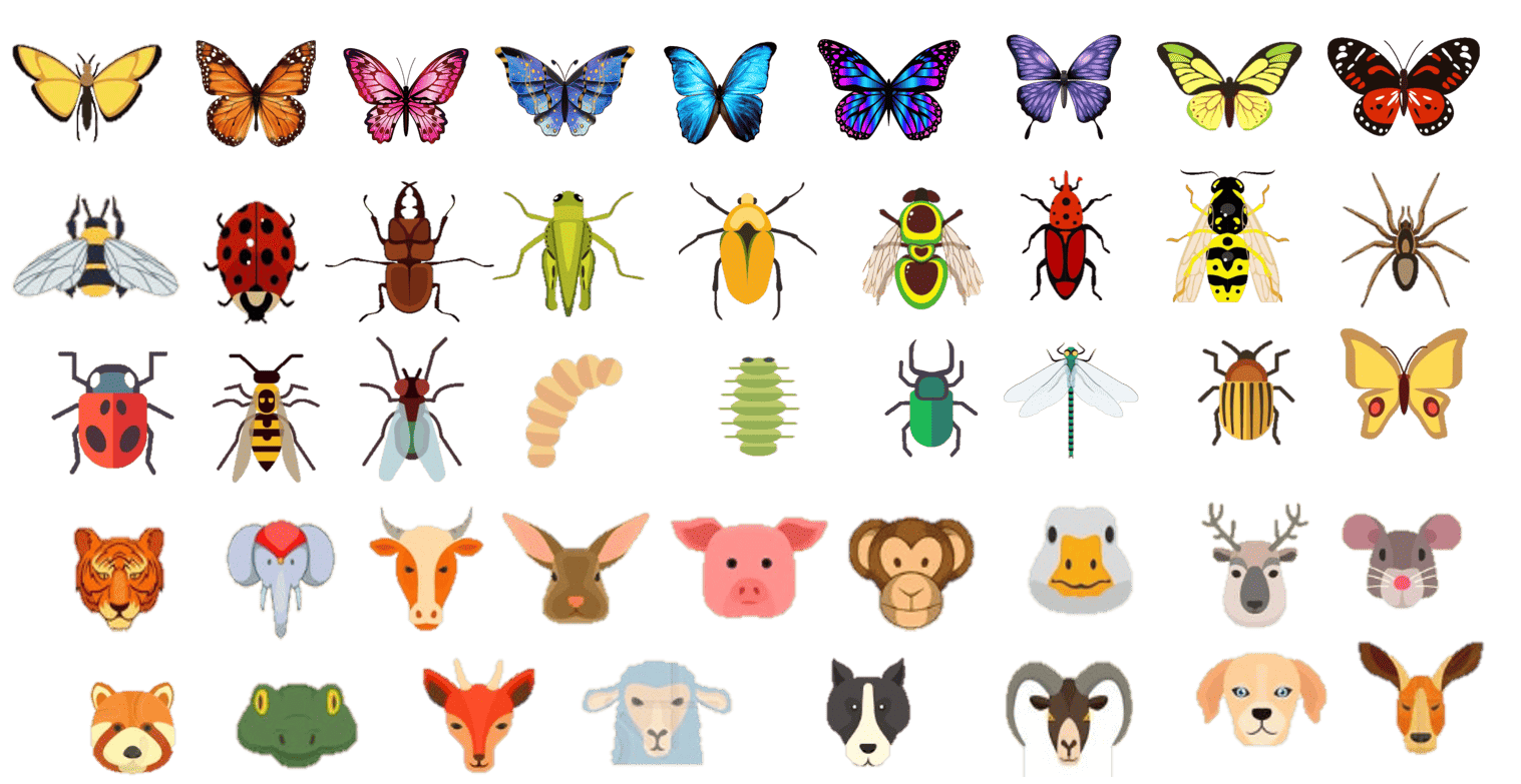 تمارين تيس:دروس وتمارين  الرياضيات للصف الابتدائي 