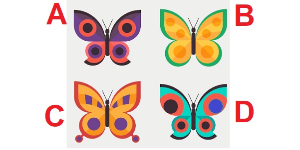 ما الخطأ في تماثل رسم الفراشات؟
